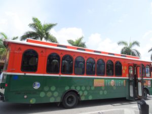 Public transport in Miami