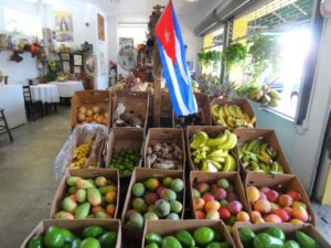 Fruits and Veg shop