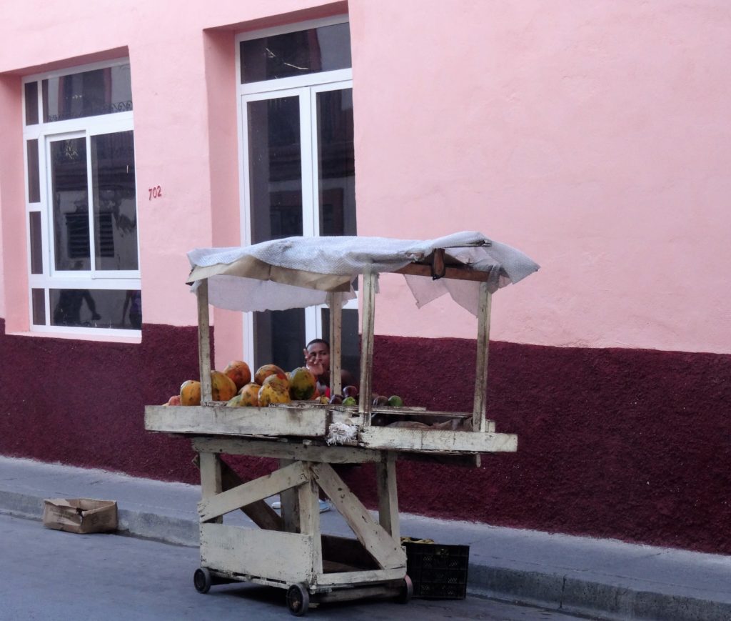 Fruit vendor